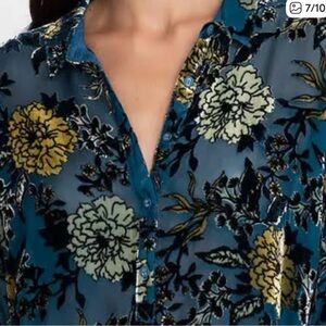 Johnny Was Burnout Floral Velvet Blouse in Blue and Yellow